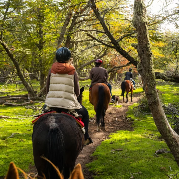 caballo vertical caballo vertical